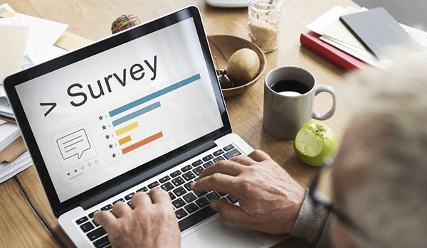 Survey & Insights